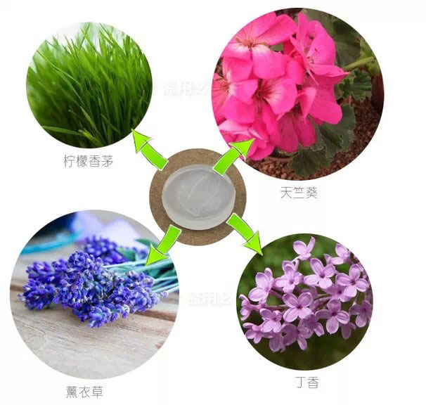 驅蚊手環元材料展示圖